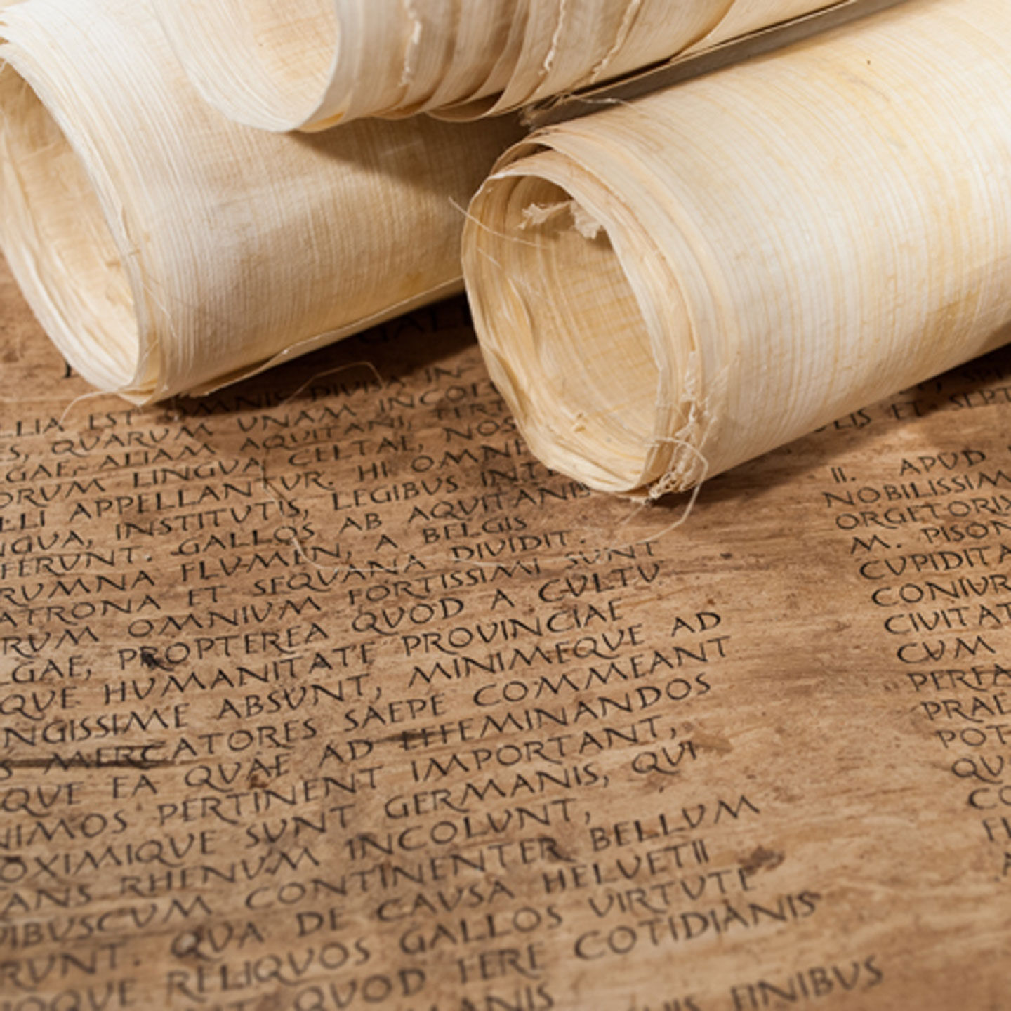Schriftrollen aus Papyrus