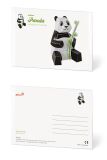 Koala postcard kit