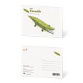 Crocodile postcard kit