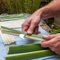 Papyrus sheets 30x20cm, 50 sheets cut, natural papyrus from Egypt