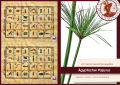 Hojas de papiro 30x20cm, cortadas, papiro natural de Egipto