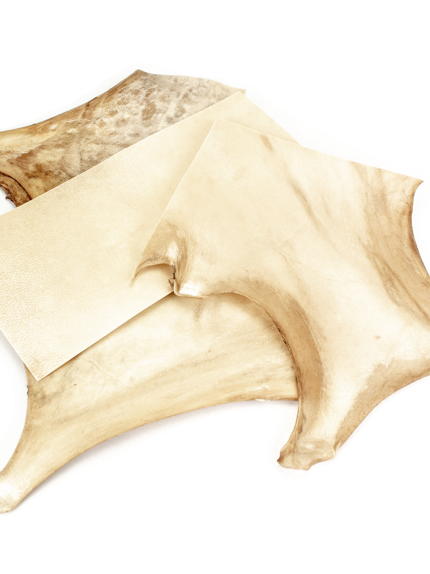 Parchment – genuine complete animal hides - The Romans