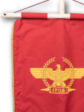 Standard for small legionaries Aquila - eagle