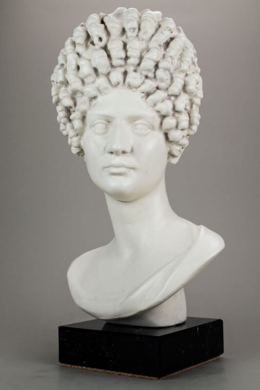 Portrait head of a Flavian Roman