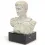 Busto del emperador Augusto de Prima Porta, Cayo Octavio