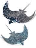 Craftsheet maxi spotted eagle ray