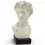 Auguste empereur romain Buste de Bevilacqua 22cm