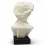 Auguste empereur romain Buste de Bevilacqua 22cm