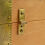 Box with 5-finger Roman hinge - brass