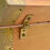 Box with 5-finger Roman hinge - brass
