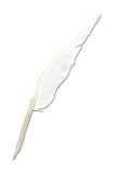 White writing quill, calligraphy quill, real...