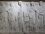 Relief Ara pacis - Augustus Schwiegersohn Agrippa und Ehefrau Julia