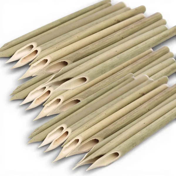 Schreibrohr aus Schilf, Calamus, Kalligraphie Stift 30 Stück