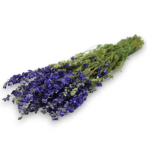 Delphinium blue 65cmDried flowers | Naturdeko