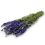 Delphinium blue 65cmDried flowers | Naturdeko