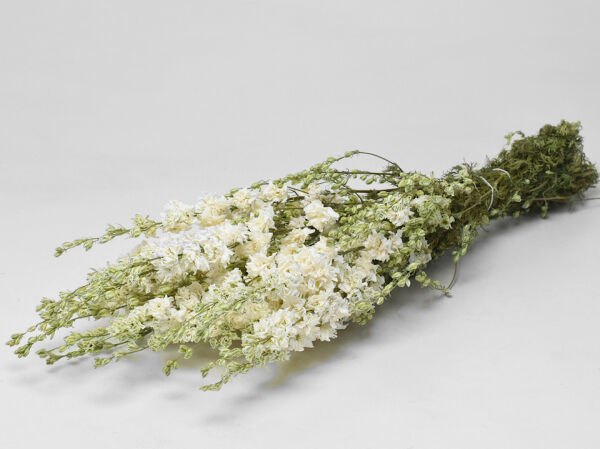 Delphinium Bunch white - 65 cm Dried Flowers, Natural Decor
