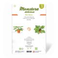 Mini Garden Monstera Deliciosa Cut-Out Sheet