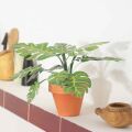 Mini Garden Monstera Deliciosa Cut-Out Sheet