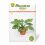 Mini Garden Monstera Deliciosa Cut-Out Sheet