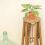 Mini Garden Monstera Deliciosa Cut-Out Sheet