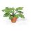 Mini Garden Monstera Deliciosa Cut-Out Sheet