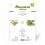 Mini Garden Monstera Deliciosa Cut-Out Sheet