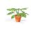 Mini Garden Monstera Deliciosa Cut-Out Sheet