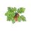Mini Garden Monstera Deliciosa Cut-Out Sheet
