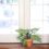 Mini Garden Monstera Deliciosa Cut-Out Sheet