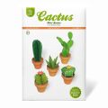 Kit mini-jardin de cactus à découper