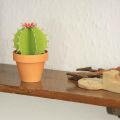 Mini Cactus Garden Papercraft Kit