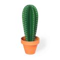 Kit mini-jardin de cactus à découper