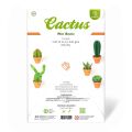 Mini Cactus Garden Papercraft Kit