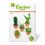 Mini Cactus Garden Papercraft Kit