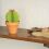 Mini Cactus Garden Papercraft Kit