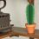 Mini Cactus Garden Papercraft Kit