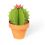 Mini Cactus Garden Papercraft Kit