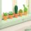 Mini Cactus Garden Papercraft Kit