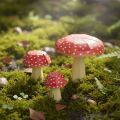 Mini Garden Toadstool DIY Paper Craft Template