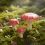 Mini Garden Toadstool DIY Paper Craft Template