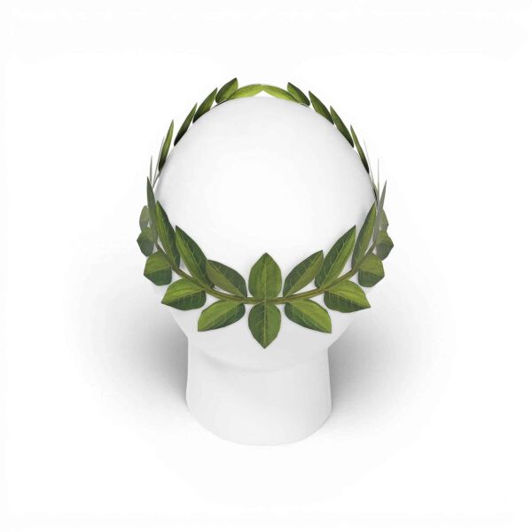 Mini Garden Kranz DIY Bastelbogen – 100% recycelt ✓