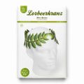 Kit de loisirs créatifs de couronne de laurier en...