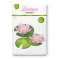 Kit de loisirs créatifs Lotus en papier