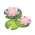 Kit de loisirs créatifs Lotus en papier