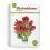 Poppy Flower Bouquet Paper Craft Kit
