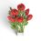 Poppy Flower Bouquet Paper Craft Kit