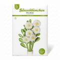 Kit créatif de marguerites en papier