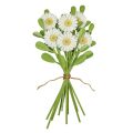 Kit créatif de marguerites en papier