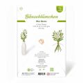 Paper Daisy Craft Kit