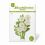 Paper Daisy Craft Kit